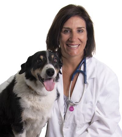 tudor glen vet clinic|st albert vet clinics.